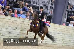 23R13_10976 proof