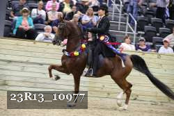 23R13_10977 proof