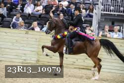 23R13_10979 proof
