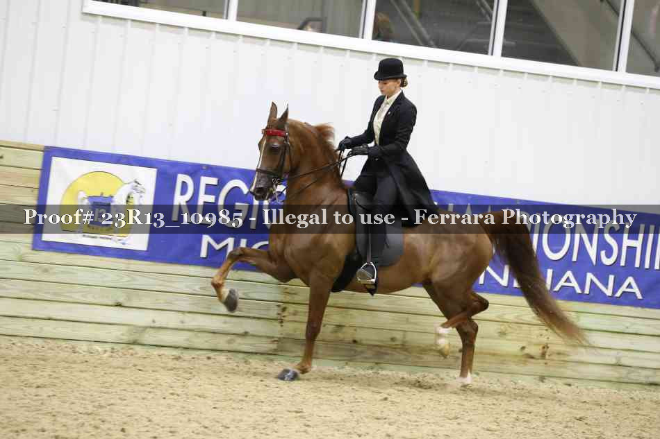 Proof 23R13_10985