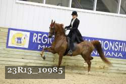 23R13_10985 proof