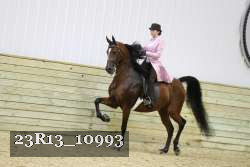 23R13_10993 proof