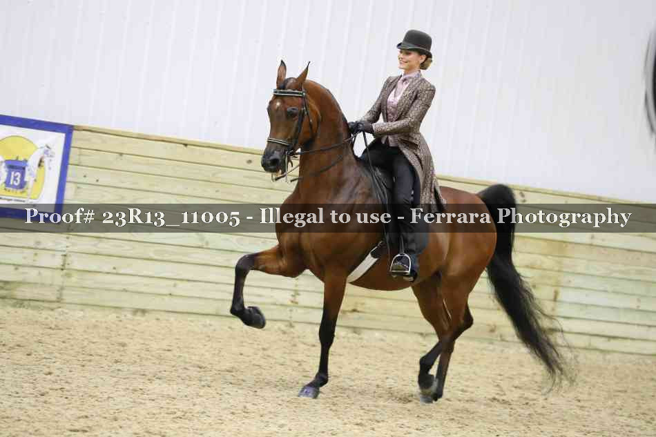 Proof 23R13_11005