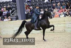23R13_11013 proof