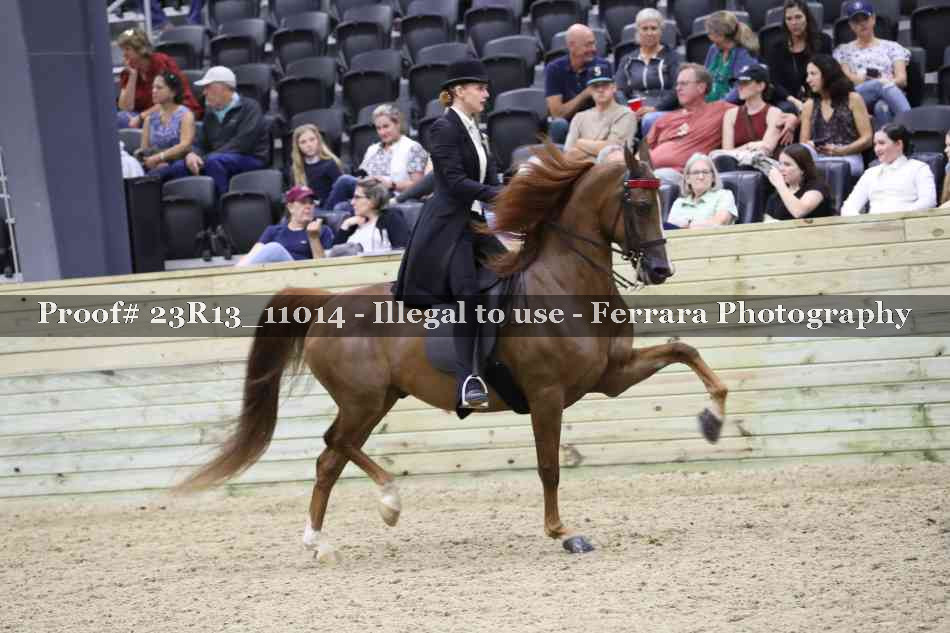 Proof 23R13_11014