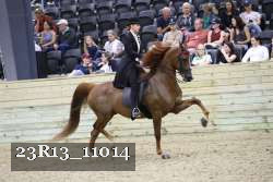 23R13_11014 proof