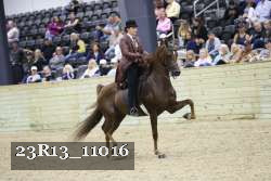 23R13_11016 proof