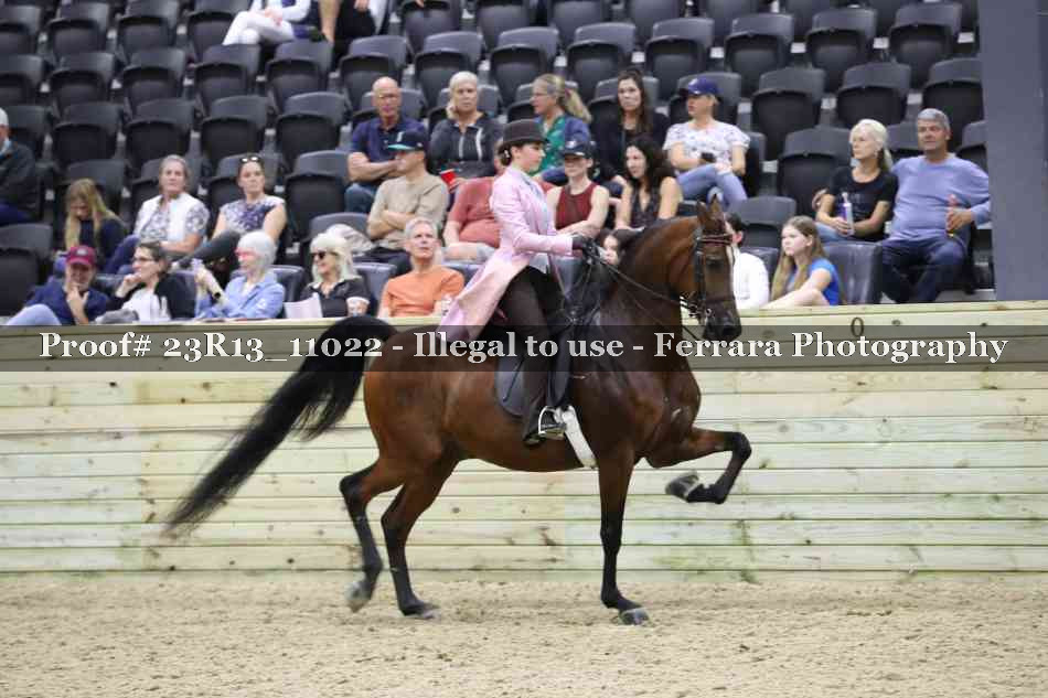 Proof 23R13_11022
