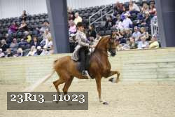 23R13_11023 proof