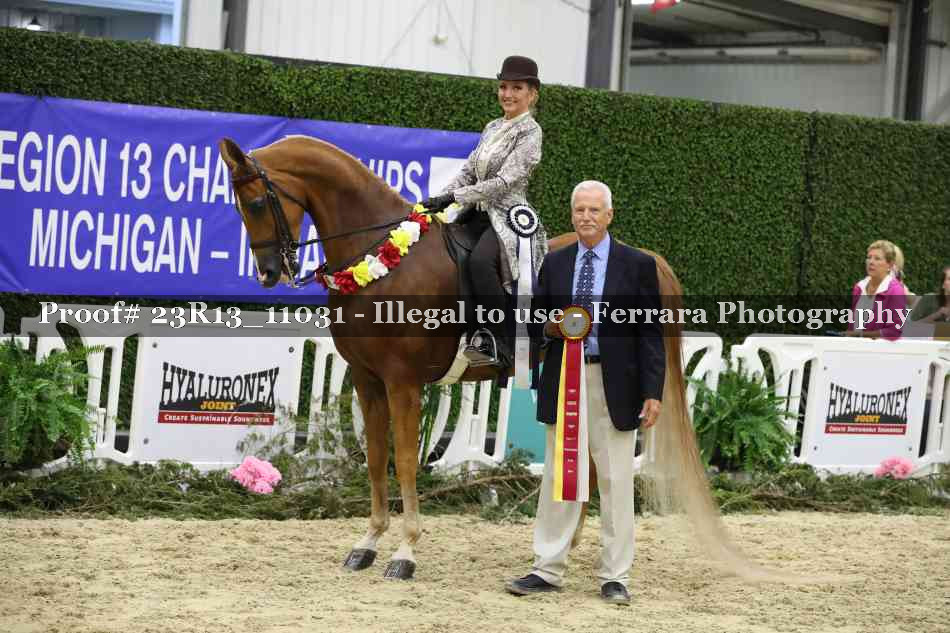 Proof 23R13_11031