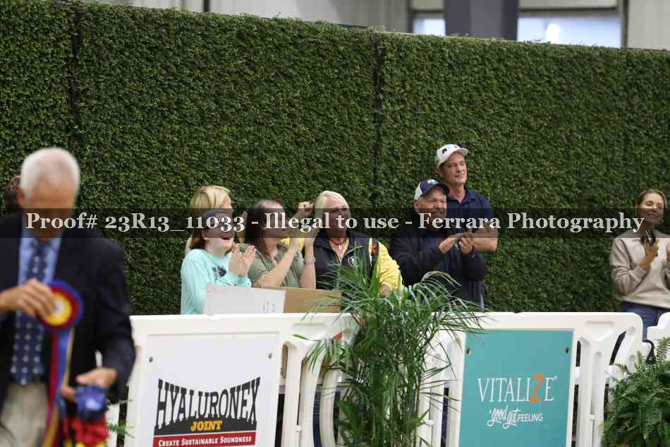 Proof 23R13_11033