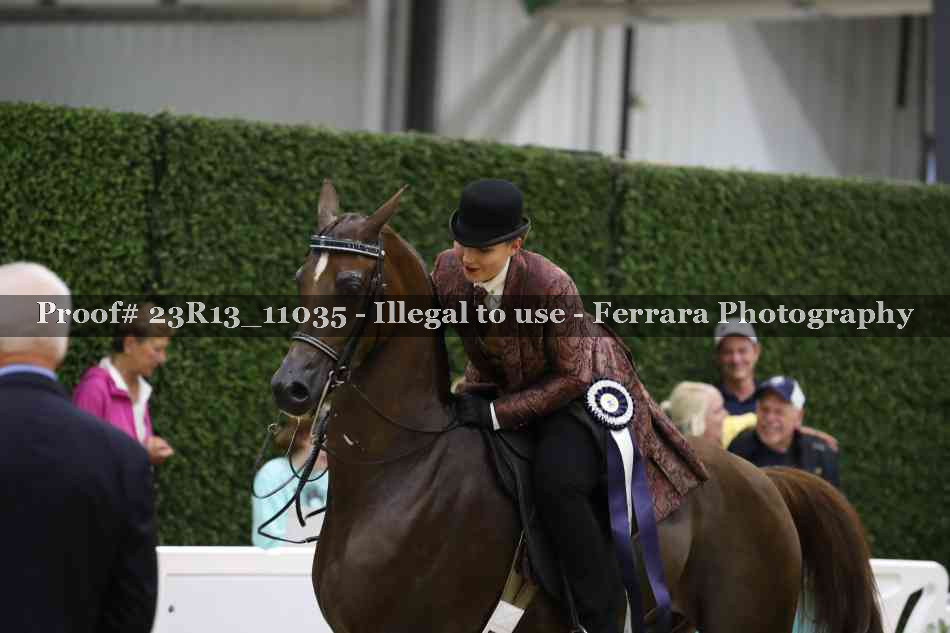 Proof 23R13_11035
