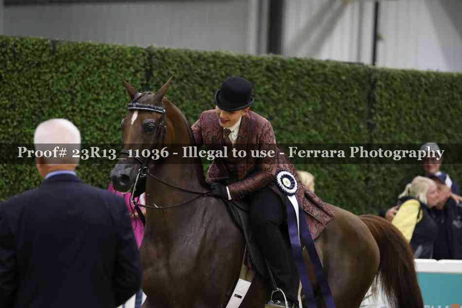 Proof 23R13_11036