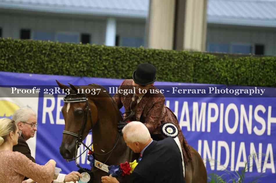 Proof 23R13_11037
