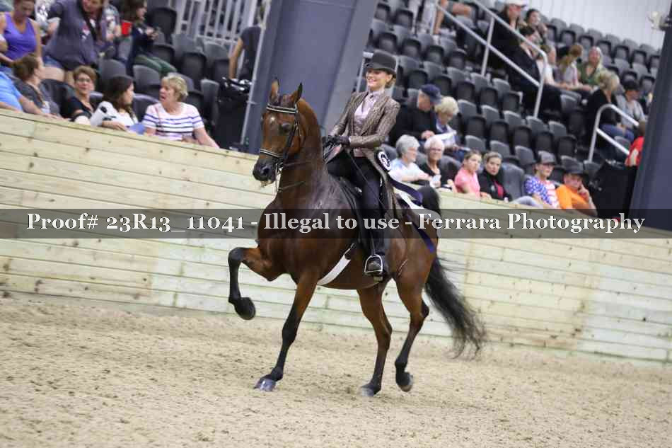 Proof 23R13_11041