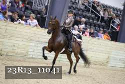 23R13_11041 proof