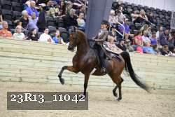 23R13_11042 proof