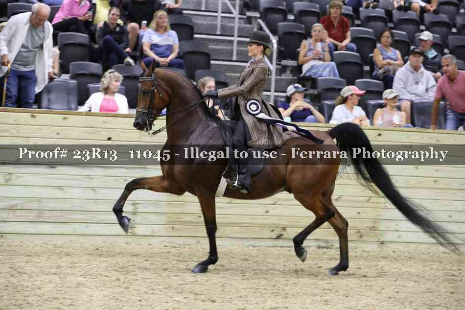 Proof 23R13_11045
