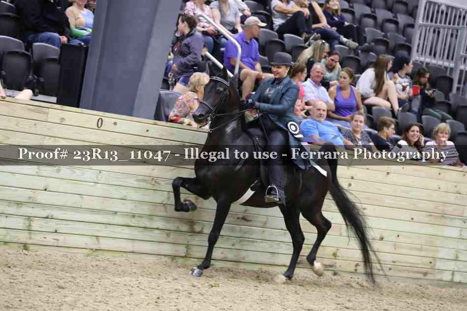 Proof 23R13_11047