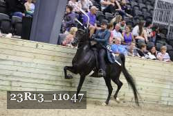 23R13_11047 proof