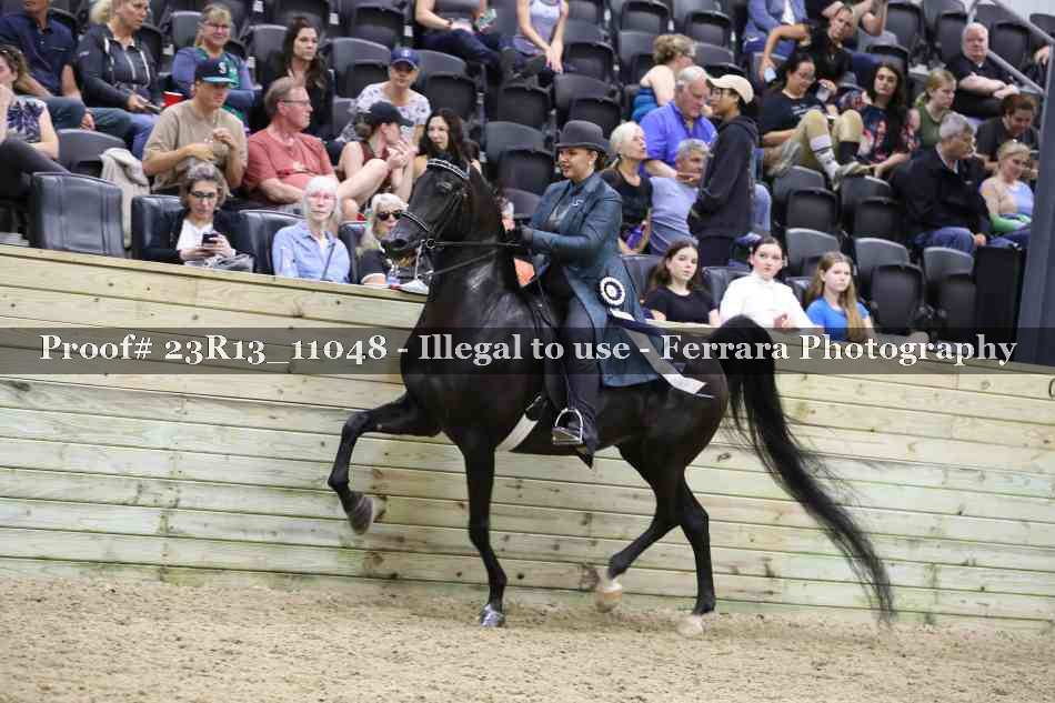 Proof 23R13_11048