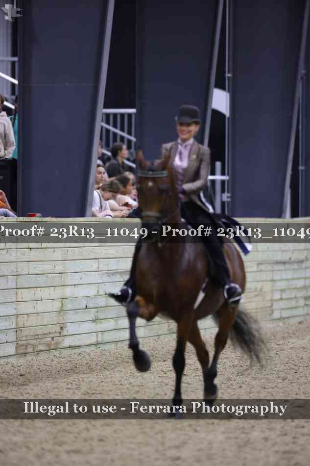 Proof 23R13_11049