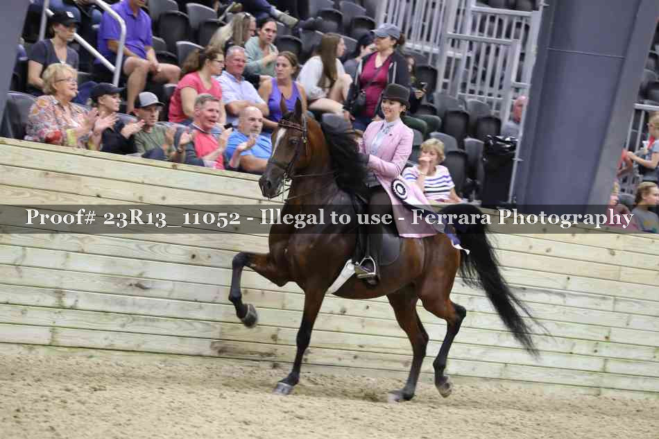 Proof 23R13_11052