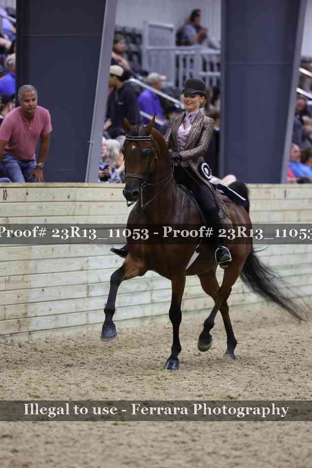 Proof 23R13_11053