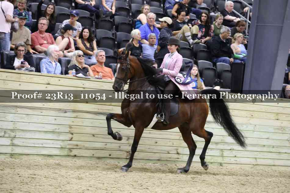 Proof 23R13_11054
