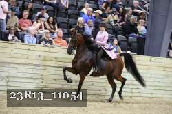23R13_11054 proof
