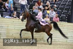 23R13_11056 proof