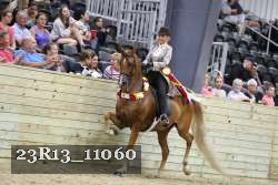 23R13_11060 proof