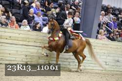 23R13_11061 proof