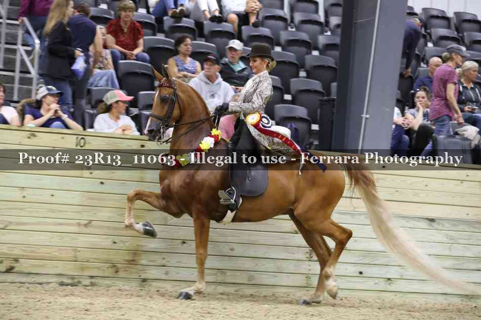 Proof 23R13_11063