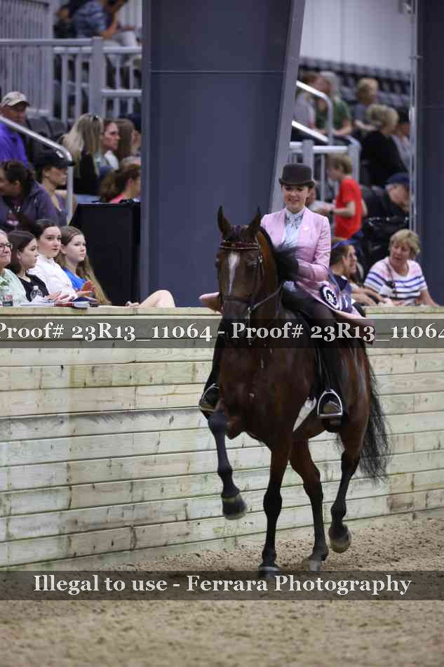 Proof 23R13_11064