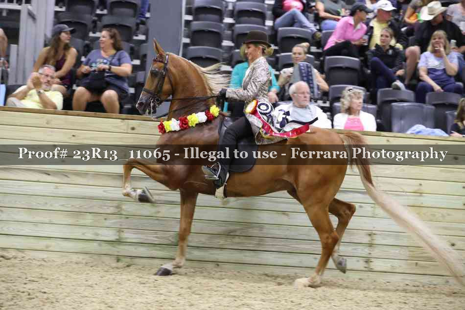 Proof 23R13_11065