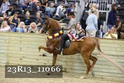 23R13_11066 proof
