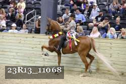 23R13_11068 proof