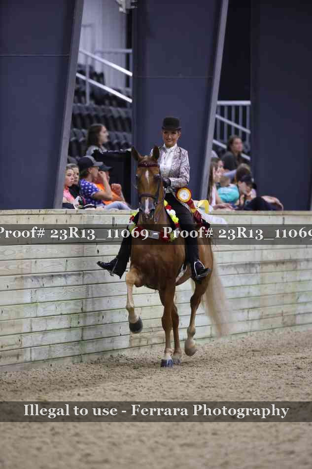 Proof 23R13_11069