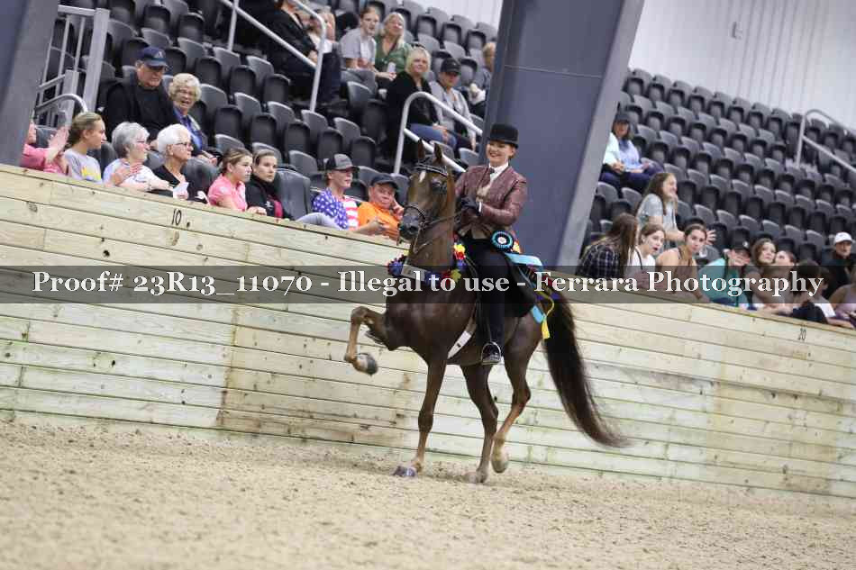 Proof 23R13_11070