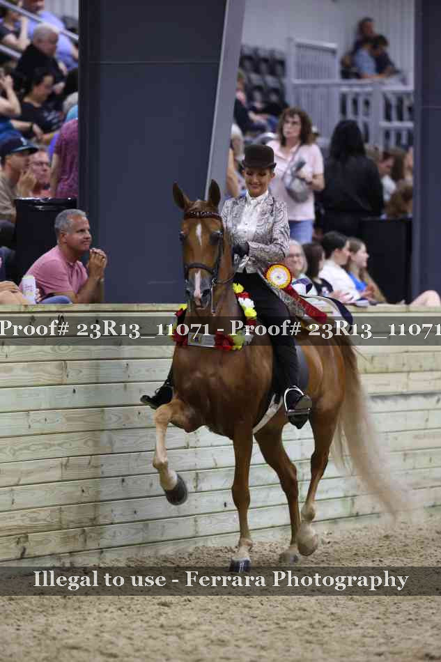 Proof 23R13_11071
