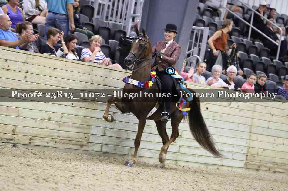 Proof 23R13_11072