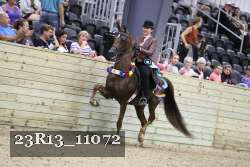 23R13_11072 proof