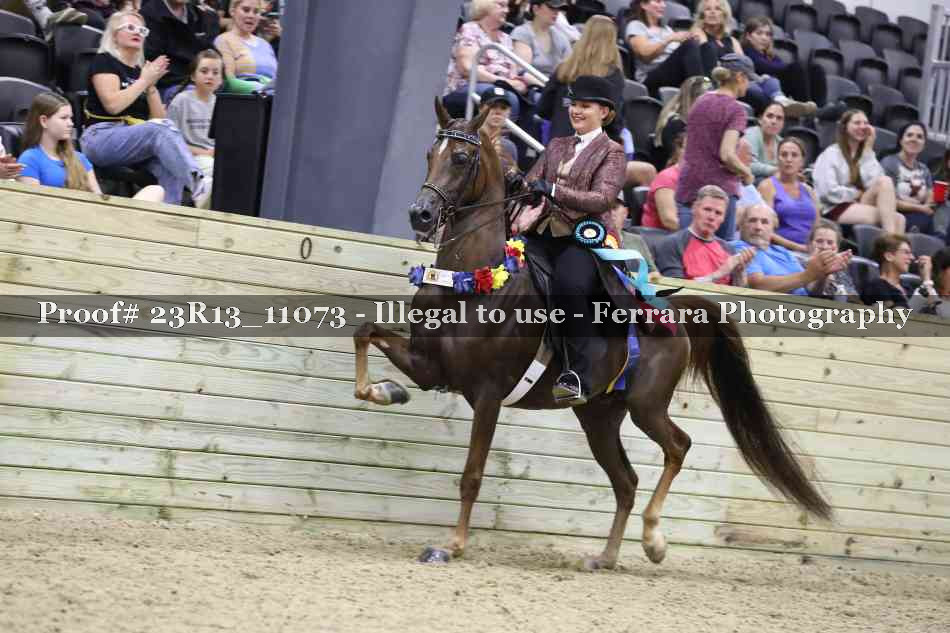 Proof 23R13_11073