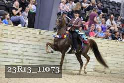 23R13_11073 proof