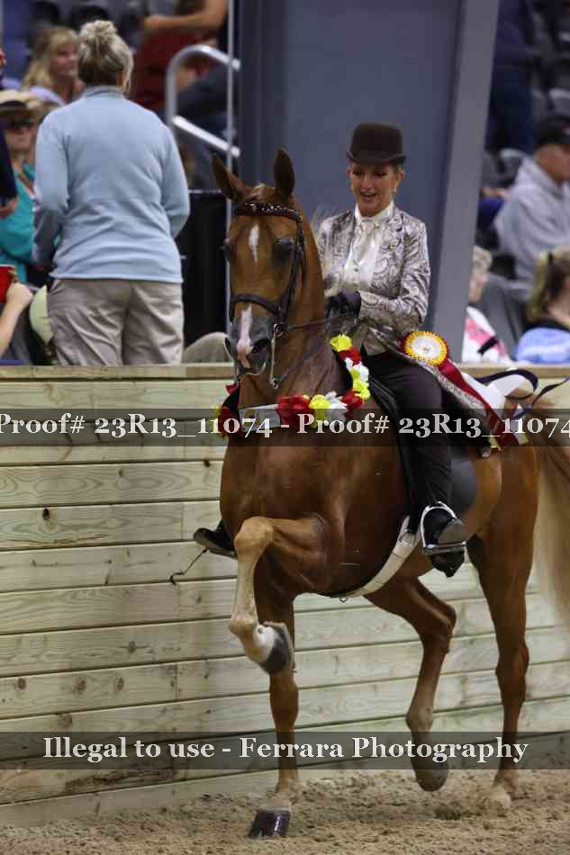 Proof 23R13_11074