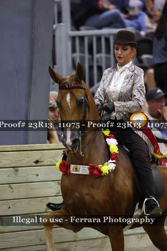 Proof 23R13_11075