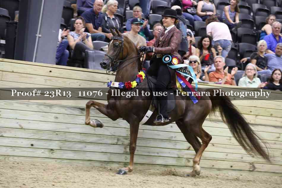 Proof 23R13_11076