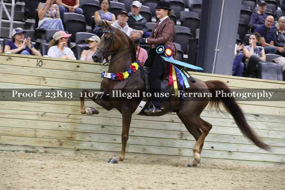 Proof 23R13_11077