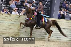23R13_11077 proof